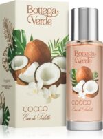 Coconut — изображение 2