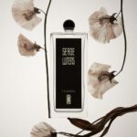 Collection Noire L'Orpheline — изображение 2