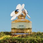 Daisy — изображение 2
