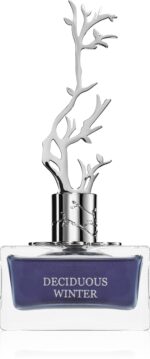 Deciduous Winter — изображение 2