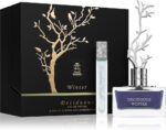Deciduous Winter