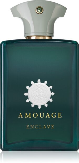 Enclave — изображение 1