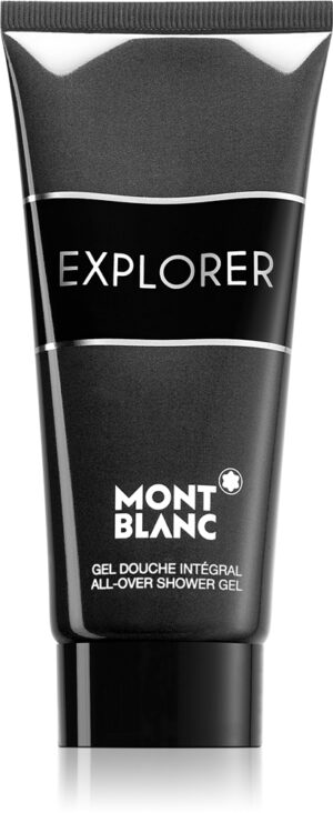 Explorer — изображение 1