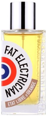 Fat Electrician