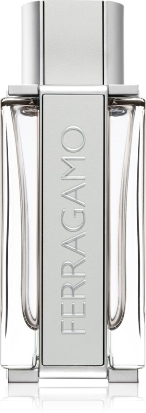Ferragamo Bright Leather — изображение 1