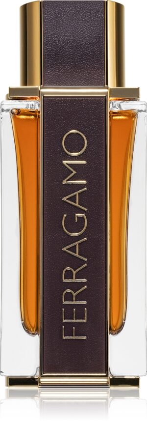 Ferragamo Spicy Leather — изображение 1