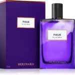 Figue — изображение 2