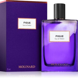 Figue — изображение 2
