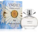 Flowerful English Daisy — изображение 2