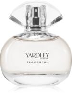 Flowerful English Daisy