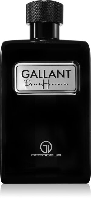 Gallant — изображение 1