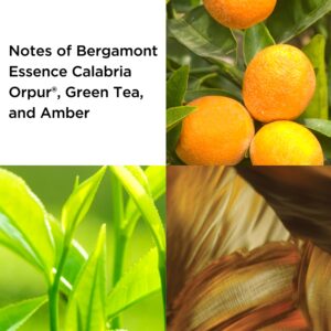 Green Tea — изображение 2
