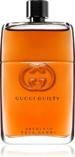 Guilty Absolute