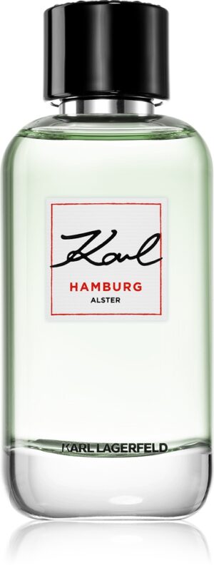 Hamburg Alster — изображение 1