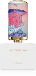 I am coming home — изображение 2