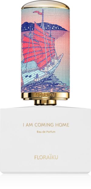 I am coming home — изображение 2
