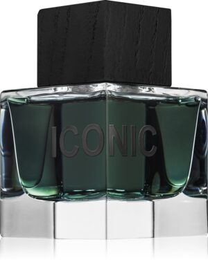 Iconic — изображение 1