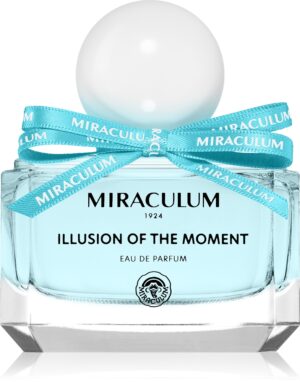 Illusion of the Moment — изображение 1