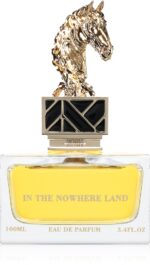 In The Nowhere Land — изображение 2