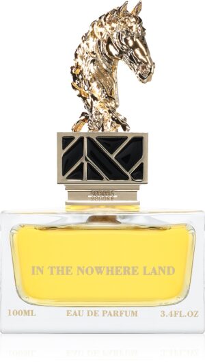 In The Nowhere Land — изображение 2