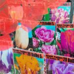 La Tulipe — изображение 2