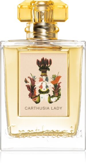 Lady — изображение 1