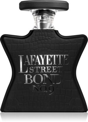Lafayette Street — изображение 1
