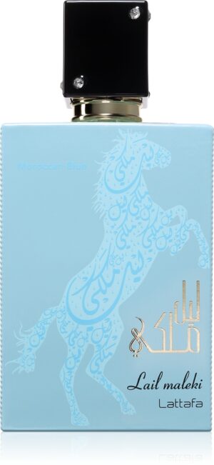Lail Maleki Moroccan Blue — изображение 1