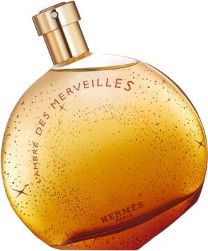 L'Ambre des Merveilles — изображение 1