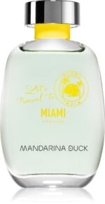 Let's Travel To Miami