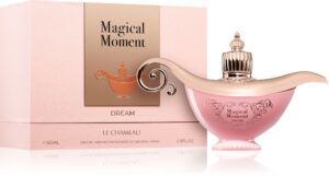 Magical Moment Dream — изображение 2