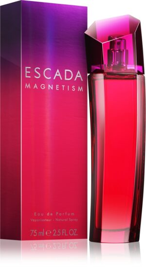 Magnetism — изображение 2