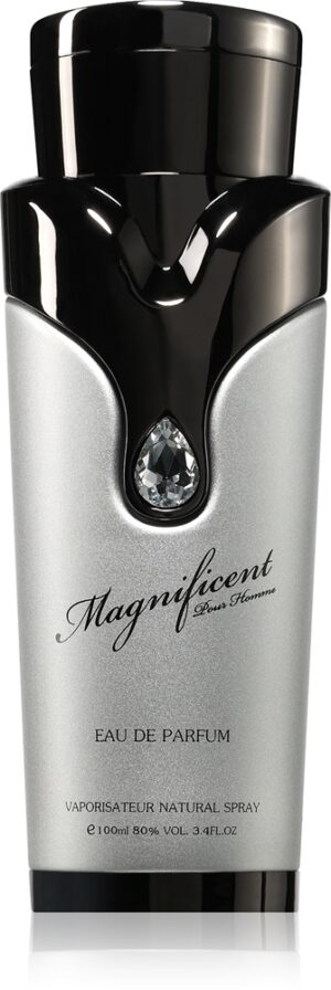 Magnificent Pour Homme — изображение 1