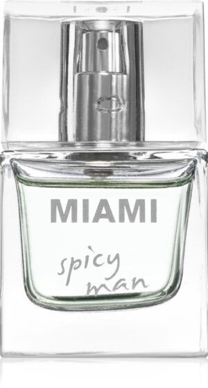 Miami Spicy Man — изображение 1