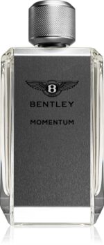 Momentum