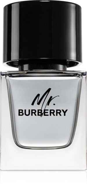 Mr. Burberry — изображение 1