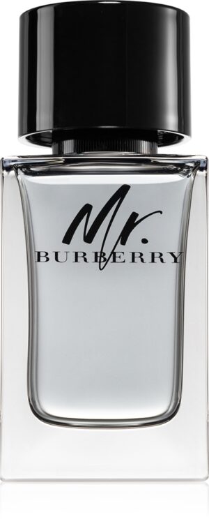 Mr. Burberry — изображение 1