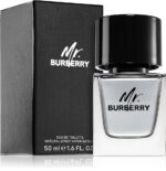 Mr. Burberry — изображение 2