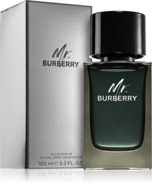 Mr. Burberry — изображение 2