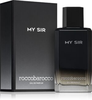 My Sir — изображение 2