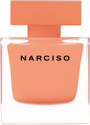 NARCISO AMBRÉE — изображение 1
