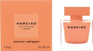 NARCISO AMBRÉE — изображение 2