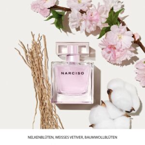NARCISO RADIANTE — изображение 2