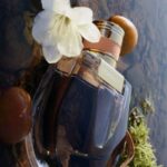 Nomade — изображение 2