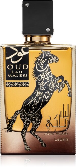 Oud Lail Maleki — изображение 1