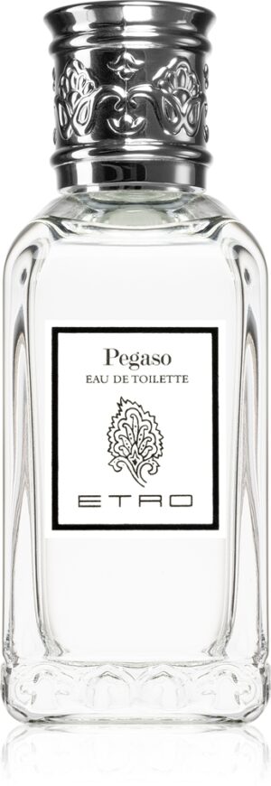 Pegaso — изображение 1