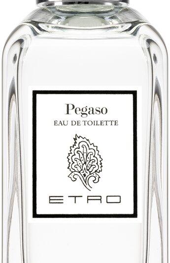 Pegaso
