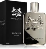 Pegasus — изображение 2