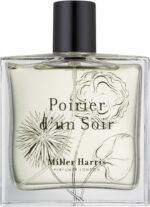 Poirier D'un Soir