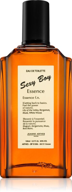 Sexy Boy Essence — изображение 1